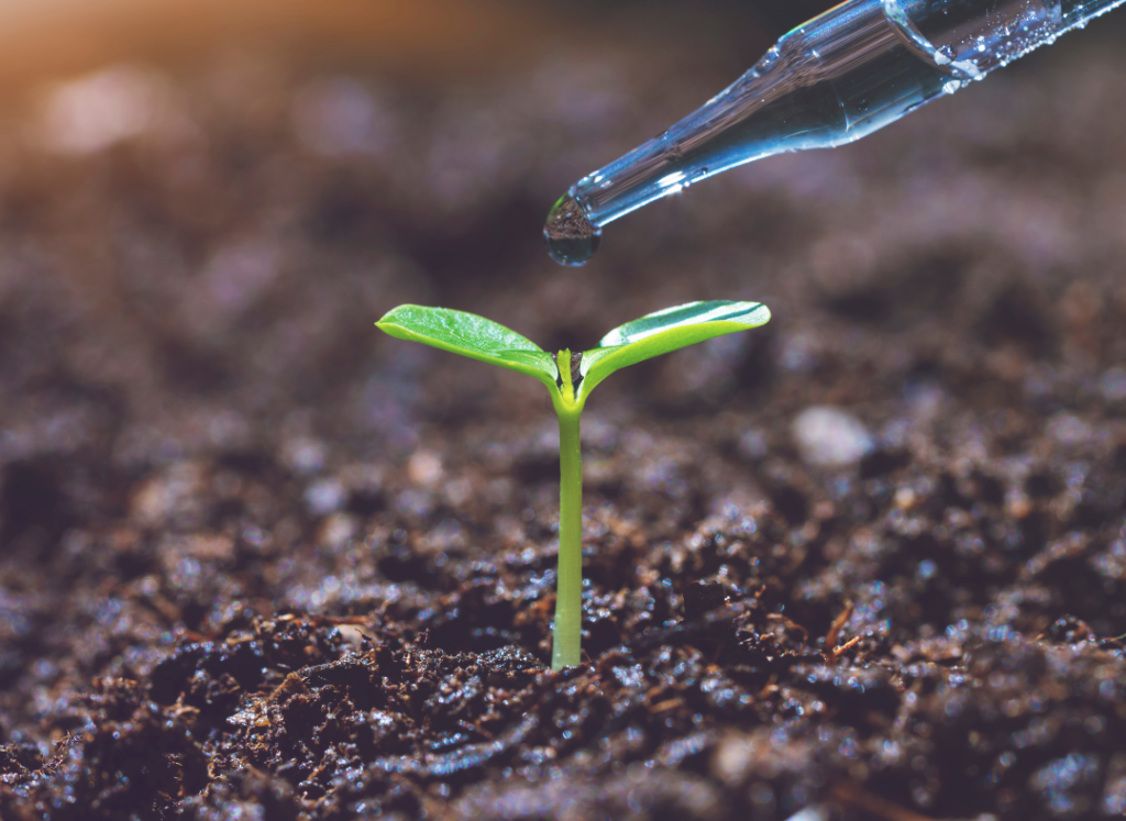 Bio Insecticide - UBA Agrochem and Biotechnologies PVT LTD